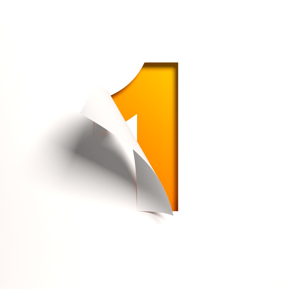 The One Stock Portfolio